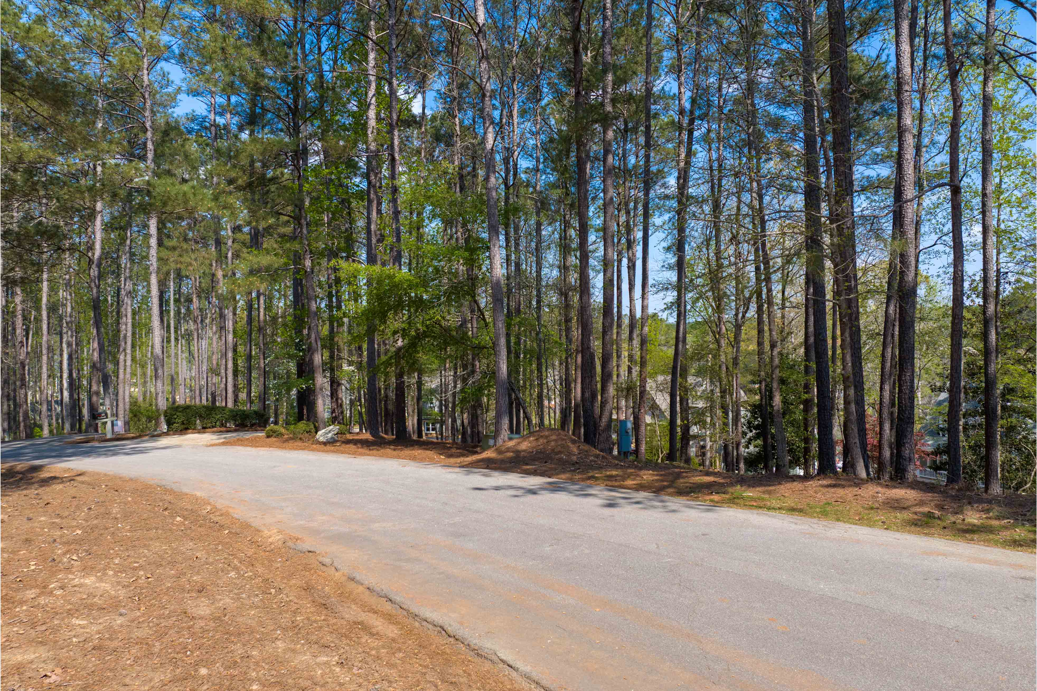 1161 Davison Drive image 4